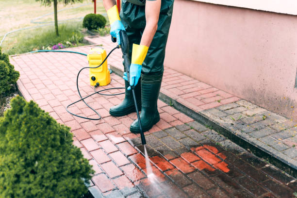 Animal Enclosure Cleaning in Cleveland, GA